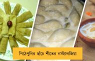 পিঠেপুলির ছাঁচে শীতের নস্ট্যালজিয়া