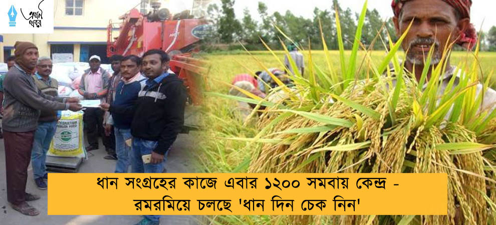 ধান সংগ্রহের কাজে এবার ১২০০ সমবায় কেন্দ্র - রমরমিয়ে চলছে 'ধান দিন চেক নিন'