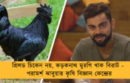 গ্রিলড চিকেন নয়, কড়কনাথ মুরগি খাক বিরাট - পরামর্শ ঝাবুয়ার কৃষি বিজ্ঞান কেন্দ্রের