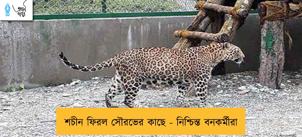 শচীন ফিরল সৌরভের কাছে - নিশ্চিন্ত বনকর্মীরা