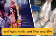 সরস্বতীপুজোয় সামর্থ্যের মধ্যেই মিলবে জোড়া ইলিশ