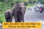 শহরকে সুস্থ রাখতে উদ্যোগী পুরসভা - পরিত্যক্ত জায়গায় আবর্জনা ফেললেই নোটিস সম্পত্তির মালিককে