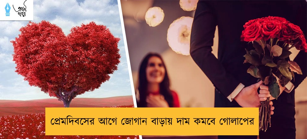 প্রেমদিবসের আগে জোগান বাড়ায় দাম কমবে গোলাপের