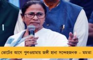 ভোটের আগে পুলওয়ামায় জঙ্গী হানা সন্দেহজনক – মমতা