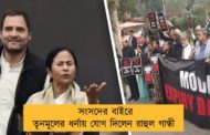 সংসদের বাইরে তৃনমূলের ধর্নায় যোগ দিলেন রাহুল গান্ধী
