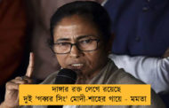 দাঙ্গার রক্ত লেগে রয়েছে দুই 'গব্বর সিং' মোদী-শাহের গায়ে - মমতা