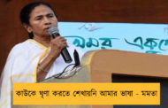কাউকে ঘৃণা করতে শেখায়নি আমার ভাষা - মমতা