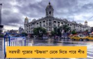 সরস্বতী পুজোর 