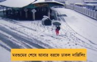 মরশুমের শেষে আবার বরফে ঢাকল দার্জিলিং