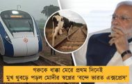 গরুকে ধাক্কা মেরে প্রথম দিনেই মুখ থুবড়ে পড়ল মোদীর স্বপ্নের ‘বন্দে ভারত এক্সপ্রেস’
