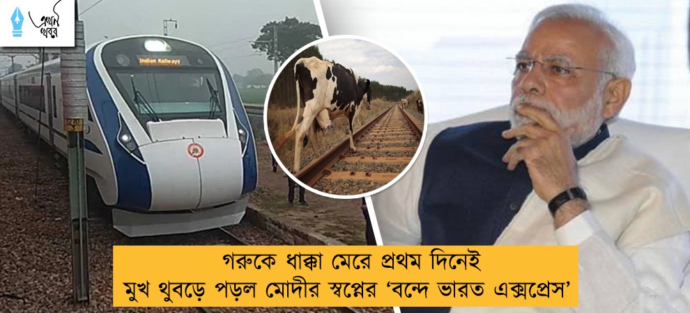 গরুকে ধাক্কা মেরে প্রথম দিনেই মুখ থুবড়ে পড়ল মোদীর স্বপ্নের ‘বন্দে ভারত এক্সপ্রেস’