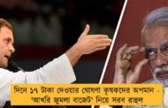 দিনে ১৭ টাকা দেওয়ার ঘোষণা কৃষকদের অপমান - 'আখরি জুমলা বাজেট' নিয়ে সরব রাহুল