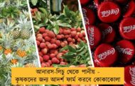আনারস-লিচু থেকে পানীয় - কৃষকদের জন্য আদর্শ ফার্ম করবে কোকাকোলা