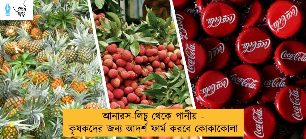 আনারস-লিচু থেকে পানীয় - কৃষকদের জন্য আদর্শ ফার্ম করবে কোকাকোলা