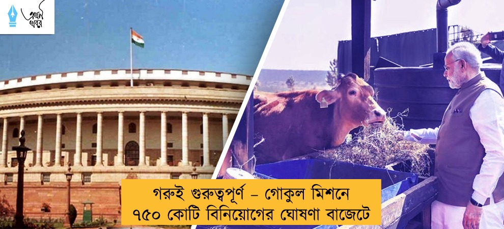 গরুই গুরুত্বপূর্ণ – গোকুল মিশনে ৭৫০ কোটি বিনিয়োগের ঘোষণা বাজেটে