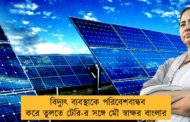 বিদ্যুৎ ব্যবস্থাকে পরিবেশবান্ধব করে তুলতে টেরি-র সঙ্গে মৌ স্বাক্ষর বাংলার