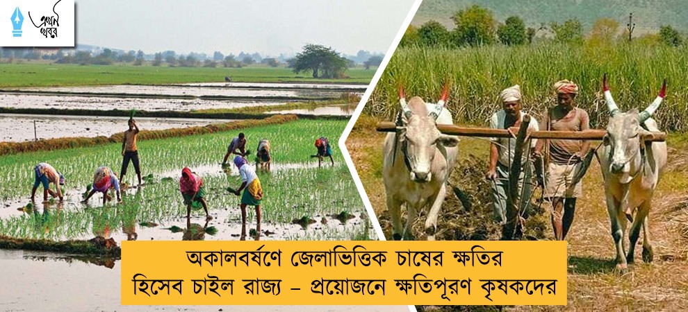 অকালবর্ষণে জেলাভিত্তিক চাষের ক্ষতির হিসেব চাইল রাজ্য – প্রয়োজনে ক্ষতিপূরণ কৃষকদের
