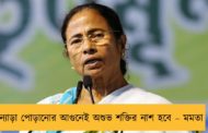 ন্যাড়া পোড়ানোর আগুনেই অশুভ শক্তির নাশ হবে – মমতা