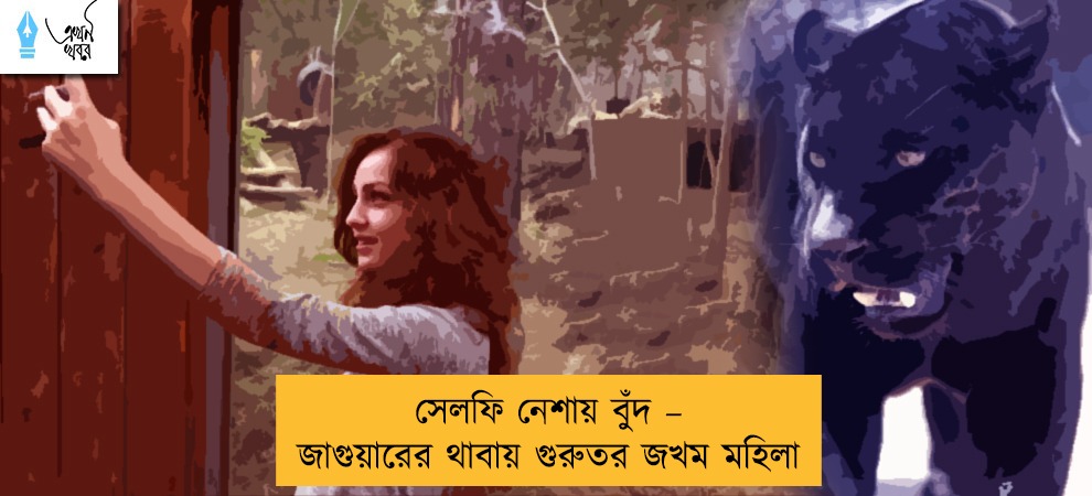 সেলফি নেশায় বুঁদ – জাগুয়ারের থাবায় গুরুতর জখম মহিলা