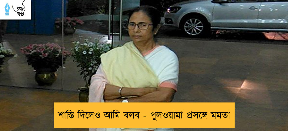 শাস্তি দিলেও আমি বলব - পুলওয়ামা প্রসঙ্গে মমতা