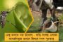 ডিসলেক্সিয়া আক্রান্ত শিশুদের নিয়ে অসংবেদনশীল মন্তব্য মোদীর – অভিযোগ রাষ্ট্রপতির কাছে
