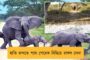 ভাঙড়ের পথঘাট এবার আলোকিত হবে সাব-স্টেশনের আলোতে