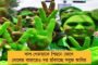 স্বামীর অসম্পূর্ণ কাজ শেষ করব – টিকিট পেয়ে কাঁদতে কাঁদতে জানালেন রূপালী
