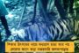 উপনির্বাচনে কৃষ্ণগঞ্জ থেকে মতুয়া নেতাকে প্রার্থী করে মাস্টারস্ট্রোক মমতার 