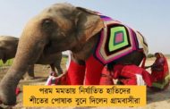 পরম মমতায় নির্যাতিত হাতিদের শীতের পোষাক বুনে দিলেন গ্রামবাসীরা