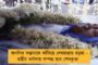 ইচ্ছে মতো মৃত জঙ্গীর সংখ্যা বলে নিজের দলেই 'একঘরে' মোদীর সেনাপতি শাহ