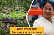মমতার উদ্যোগে মিটল উত্তরবঙ্গের ৬ চা বাগানের সমস্যা