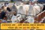 ‘বিকাশ’-এর পরীক্ষায় পাস মার্কও উঠল না মোদী সরকারের – সমীক্ষায় ব্যাকফুটে বিজেপি