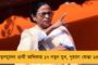 শিলিগুড়িতে অনুষ্ঠিত হল স্ট্রবেরি উৎসব – লাভের মুখ দেখবেন পাহাড়ের কৃষকেরা