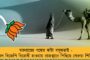 বিজেপিকে 'খামোশ' করে দেওয়াই এখন মূল লক্ষ্য বিহারিবাবুর - রবিশঙ্করকে আমলই দিচ্ছেন না শত্রুঘ্ন