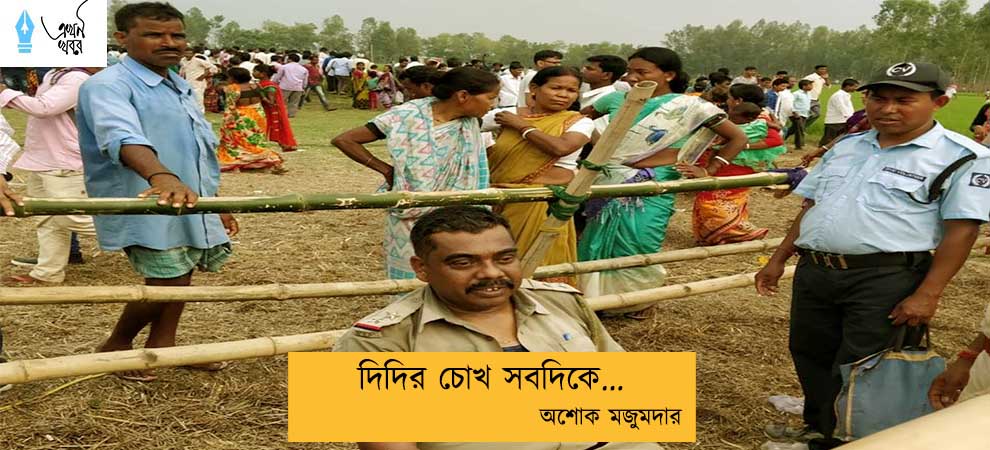 দিদির চোখ সবদিকে...অশোক মজুমদার