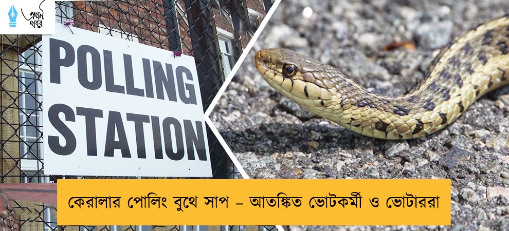 কেরালার পোলিং বুথে সাপ – আতঙ্কিত ভোটকর্মী ও ভোটাররা