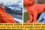 বুথ ফেরত সমীক্ষাকে পাত্তা দিচ্ছে না উত্তরপ্রদেশ - বৈঠকে অখিলেশ-মায়াবতী