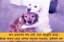 ভোটপর্ব মিটতেই রাজ্যের উন্নয়ন এবং প্রশাসন কাজের পর্যালোচনা বৈঠকের ডাক মুখ্যমন্ত্রীর