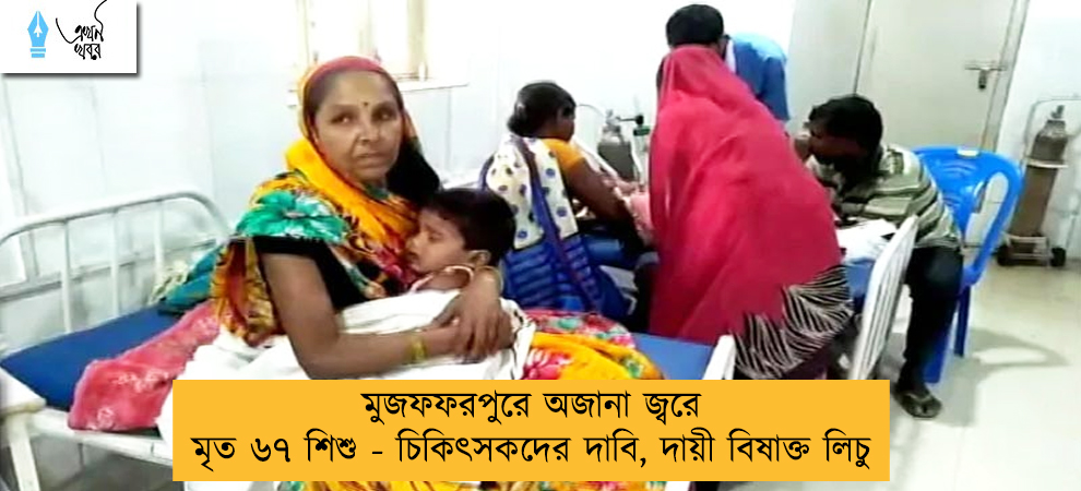 মুজফফরপুরে অজানা জ্বরে মৃত ৬৭ শিশু - চিকিৎসকদের দাবি, দায়ী বিষাক্ত লিচু