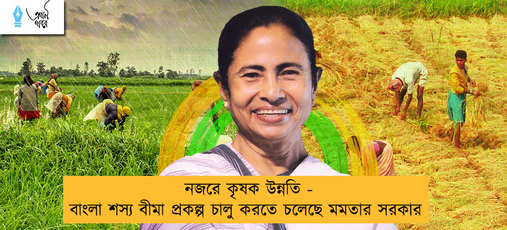 নজরে কৃষক উন্নতি - বাংলা শস্য বীমা প্রকল্প চালু করতে চলেছে মমতার সরকার