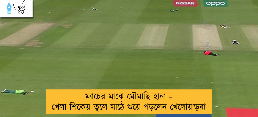 ম্যাচের মাঝে মৌমাছি হানা - খেলা শিকেয় তুলে মাঠে শুয়ে পড়লেন খেলোয়াড়রা