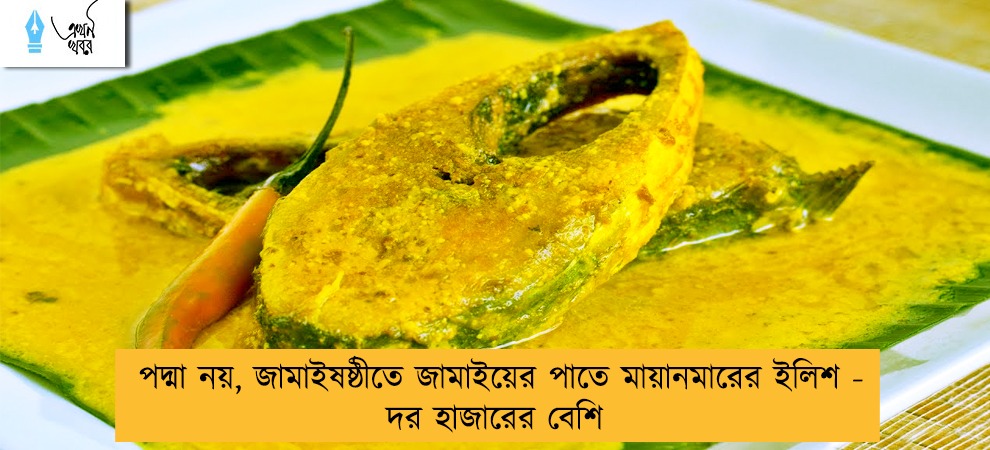 পদ্মা নয়, জামাইষষ্ঠীতে জামাইয়ের পাতে মায়ানমারের ইলিশ - দর হাজারের বেশি