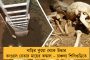 শিয়ালদহ ও হাওড়া থেকে গ্রেফতার চার জেএমবি জঙ্গী - উদ্ধার মোবাইল-সহ বিভিন্ন নথি
