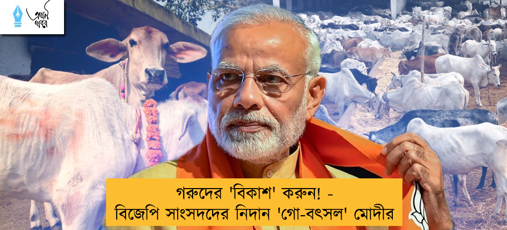 গরুদের 'বিকাশ' করুন! - বিজেপি সাংসদদের নিদান 'গো-বৎসল' মোদীর