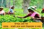 জানিনা কবে অবসর নেব - ধোনি