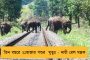 এনসেফেলাইটিসে মৃত ২১ - বিজেপি শাসিত অসমে ভেঙে পড়ল স্বাস্থ্য ব্যবস্থা