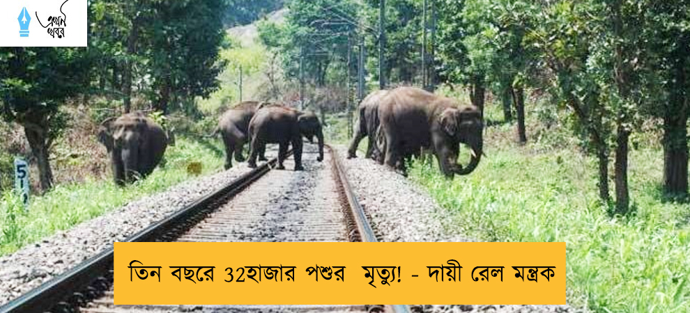 তিন বছরে 32হাজার পশুর  মৃত্যু! - দায়ী রেল মন্ত্রক