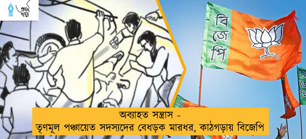 অব্যাহত সন্ত্রাস - তৃণমূল পঞ্চায়েত সদস্যদের বেধড়ক মারধর, কাঠগড়ায় বিজেপি