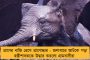 কন্যাভ্রূণ হত্যার ইঙ্গিত – বিজেপিশাসিত উত্তরকাশীতে ৩ মাসে জন্মায়নি একজন শিশুকন্যাও