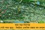 শহীদ দিবসেও গেরুয়া সন্ত্রাস - একুশের সমাবেশে যাওয়ার পথে তৃণমূল কর্মীদের ওপর হামলা বিজেপির